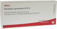GLANDULAE SUPRARENALES GL D 12 Ampullen