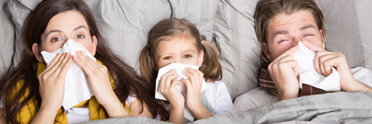 Kategorie Grippe und Erkältung